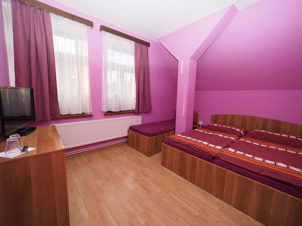 Penzion U Krejzu Dolni Poustevna ภายนอก รูปภาพ
